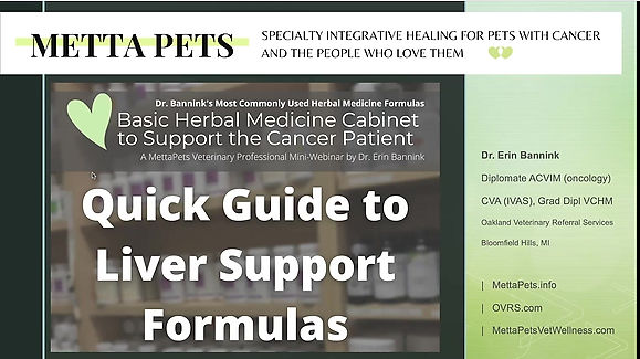 Quick Guide to Liver Support Formulas